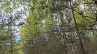 "Суморок" ужасы смотреть новое видео 2025 года, про ужасы онлайн лучшие ужастики бесплатно #ужасы #