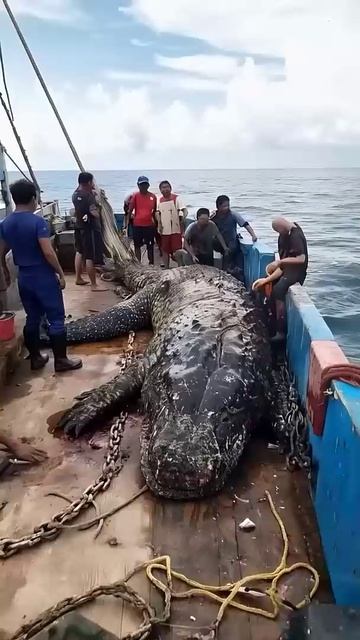 Морские чудовища