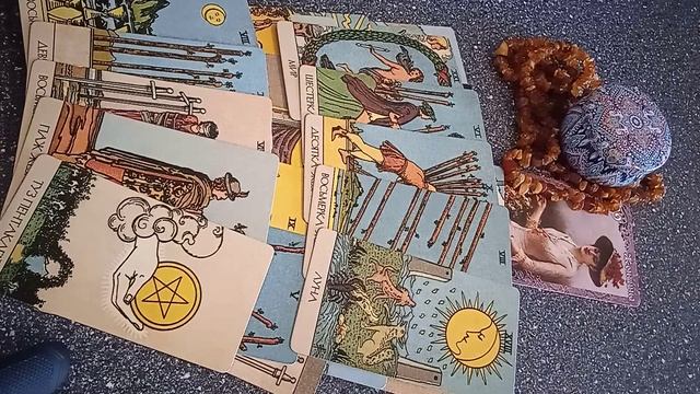 VID_20250504_174824.mp4