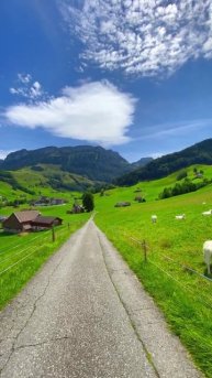 Красивая природа🤗🤗🤗🤗