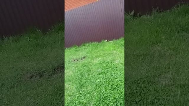 1000001101.mp4