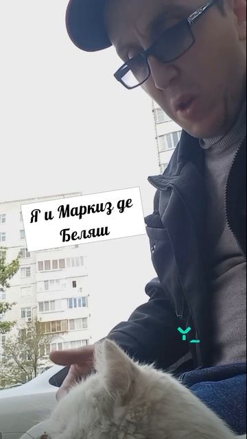 #котики #кошка #киса #домашниеживотные #кошки #пес #собакадругчеловека #собака #собаки #щенок #мимим