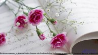 ❤ ❤ ❤ Видео, которое дарит силы - Wonderfully Optimistic (Short Version) -- BoDleasons -- Happy Musi