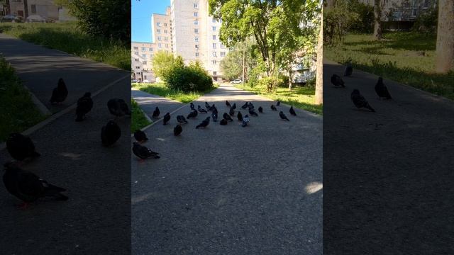 Посторонние люди