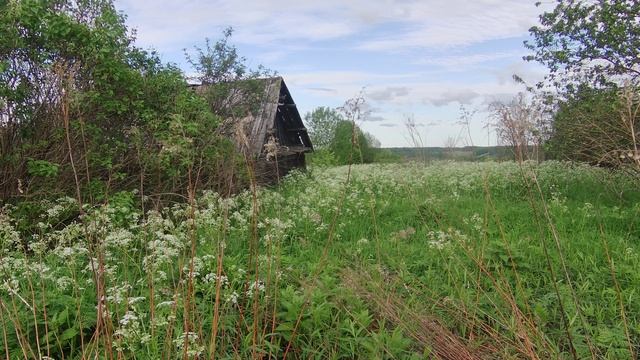 Летние покатушки на Альфе . Класс.
