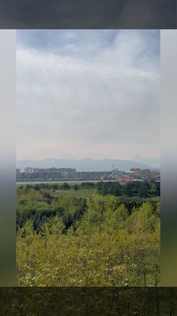 Мовсисяна F 102899157