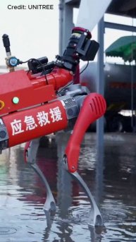 Робопсы-пожарные из Китая тушат огонь с расстояния 60 метров