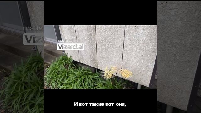 Неожиданные приключения в Японии_ смотрите сейчас!