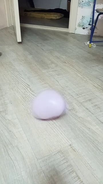 классический  танец  шарика))))