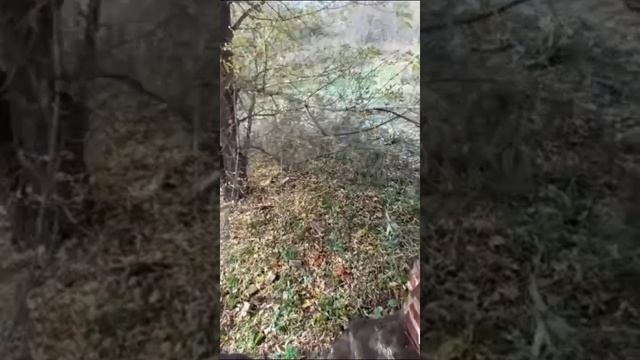 Поднимаюсь на заброшенную колокольню...