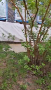 Катя меня отправила за фруктами, в погоду , когда хороший хозяин собаку не выгонит 😅