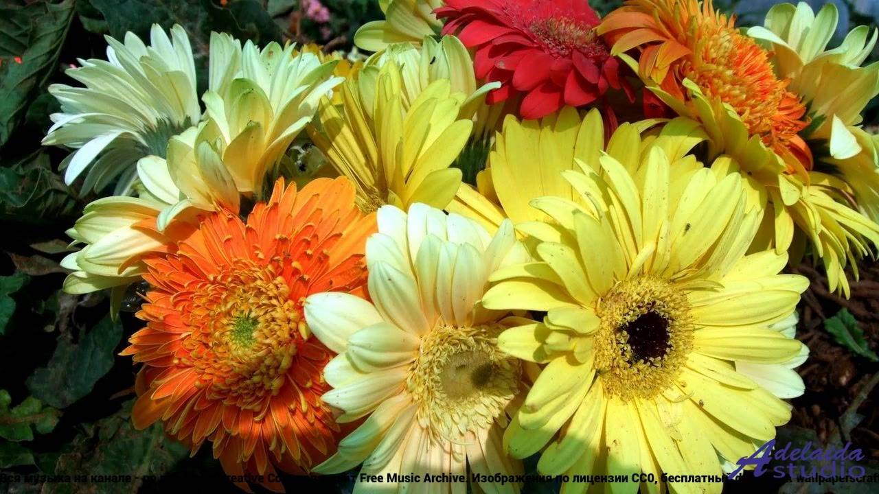 ✸ ♫ ❤ Песня, которая звучит в голове - Cyberpunk -- Lowtone Music -- Unnamed album.mp4