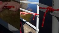 Осваивайте искусство завязывания узлов как настоящие мастера