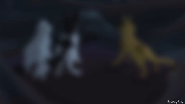 коты воители мап