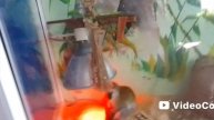 Детская Экологическая станция - (3 серия) - И тот дурак - Развивающие мультфильмы для детей