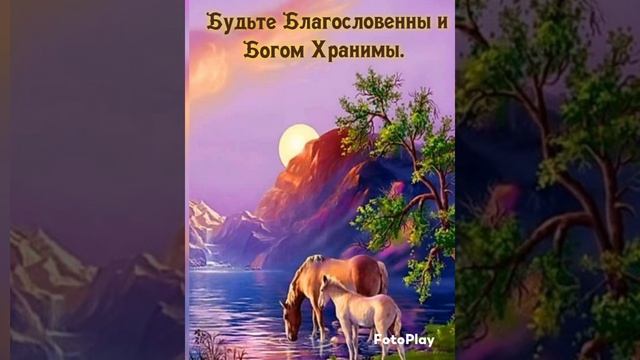 1000323060.mp4
Доброе утро всем
