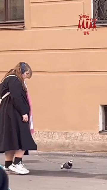 Голубь, курлыкни, если она держит тебя в заложниках 😑
