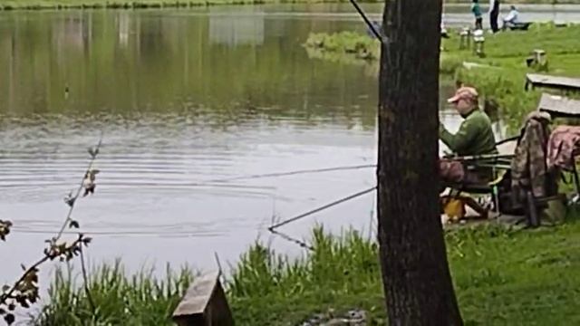 Светлые Горы Карп 04.05.2025г.