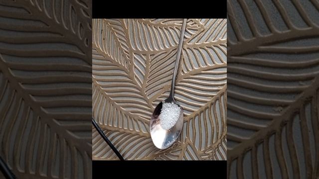 1000193698.mp4