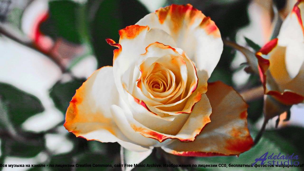 ☞ ❤ ♫ Клип, который несется как спорткар - Epic Inspiration (Short Version) -- BoDleasons -- Epic Mu