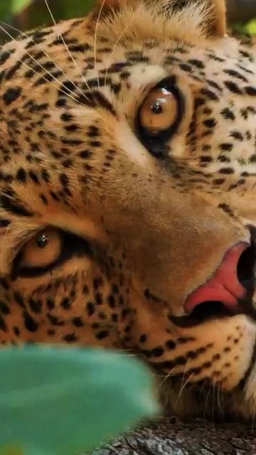 Настоящее взросление — это умение радоваться простым вещам