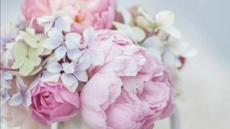 С днем рождения племянница красивые пожелания 🎁