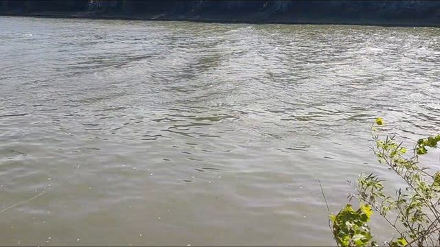1000072917.mp4