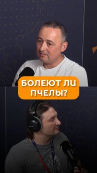 Болеют ли пчелы?