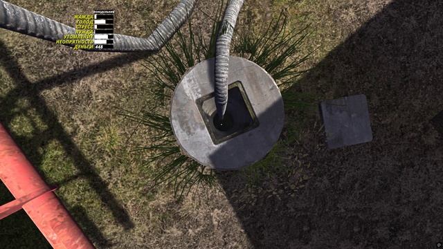 Случайно встретил брата в MSC