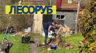 1.05.25 - 1 мая // начало дачного сезона // сын дровосек // гимн автослесаря // право на мечту
