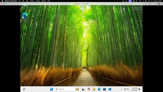 Windows 11 24H2 из-за границы. Нет там ничего особенного?