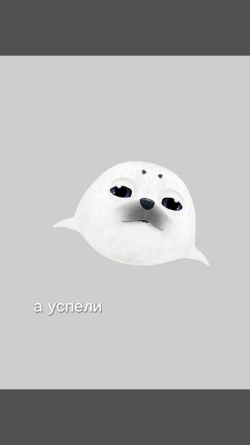 жизнь