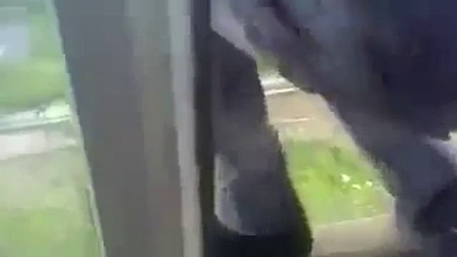 Психушка и шиза, абсолютно не адекватная тима