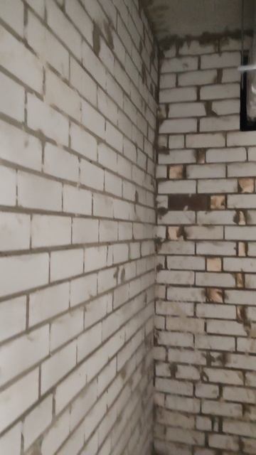 1000014123.mp4