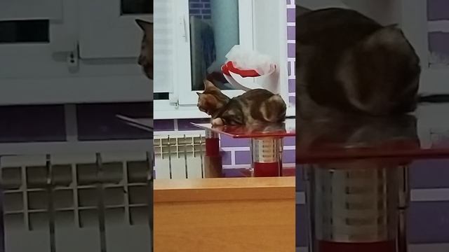 знакомство с новым местом