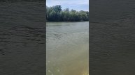 1000072918.mp4