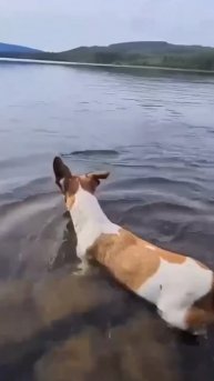 хороший помощник нужен всегда.