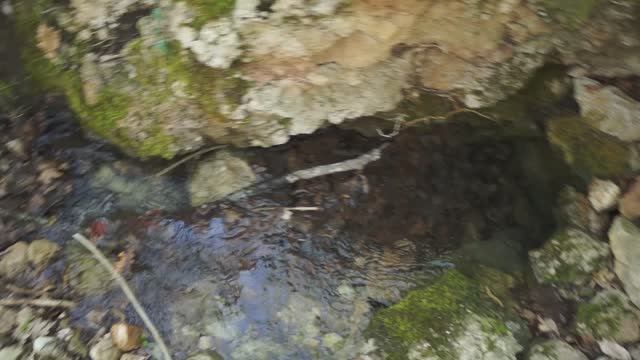 Родник Чокрак-1 над Куртлер-маале