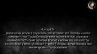 №78. Бытие 6;17-19. Толкование Библии