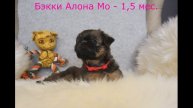 Бекки Алона Мо
ищу дом 😘