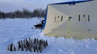 Рыбалка в мороз -41гр!