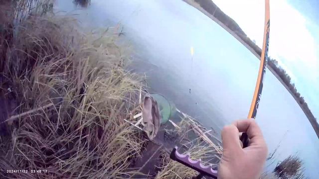 Вечерний клев на поплавок 🎣 Насадка тесто.