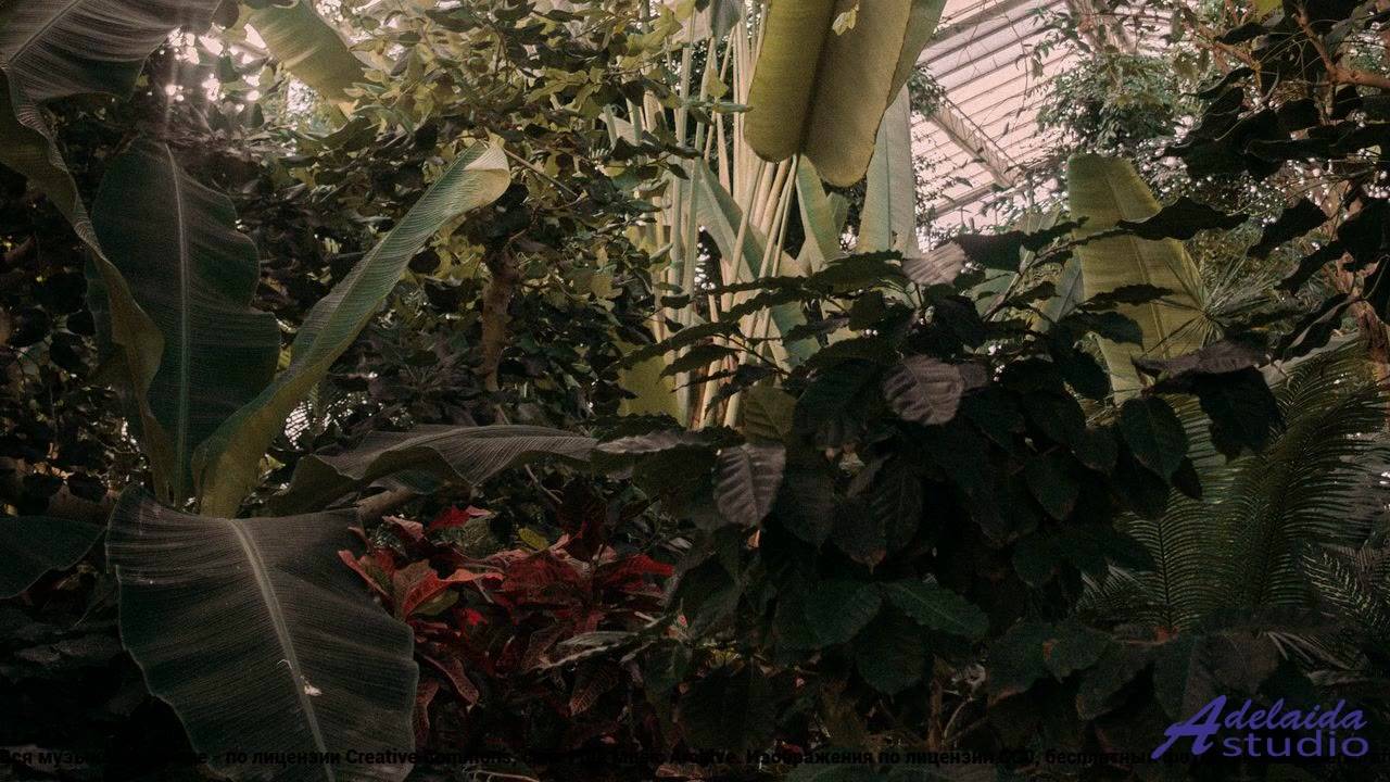 ❤ ❤ ❤ Клип, изменивший историю - Thinking About You (Short Version) -- BoDleasons -- Feels Like Free