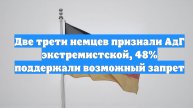 Две трети немцев признали АдГ экстремистской, 48% поддержали возможный запрет