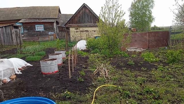 Замечательный выходной в деревне