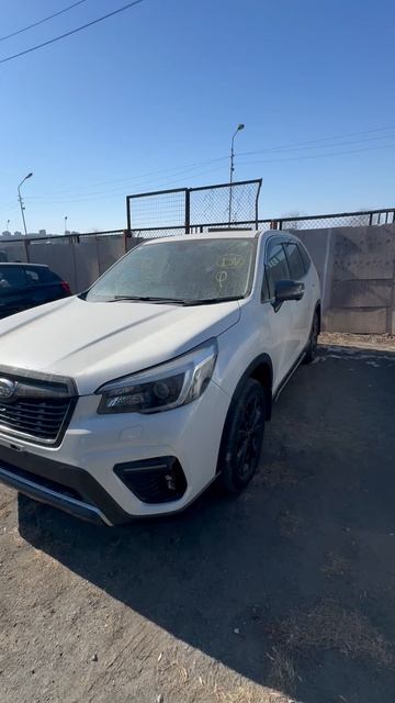 Автомобили с аукционов Японии🇯🇵