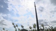 В столичный регион после майского снегопада вернулось тепло