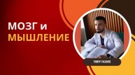Мозг и мышление