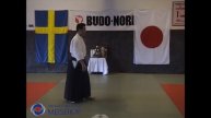 11 Aikido Yokomen Uchi Kokyonage, Shishiya Sensei 2003