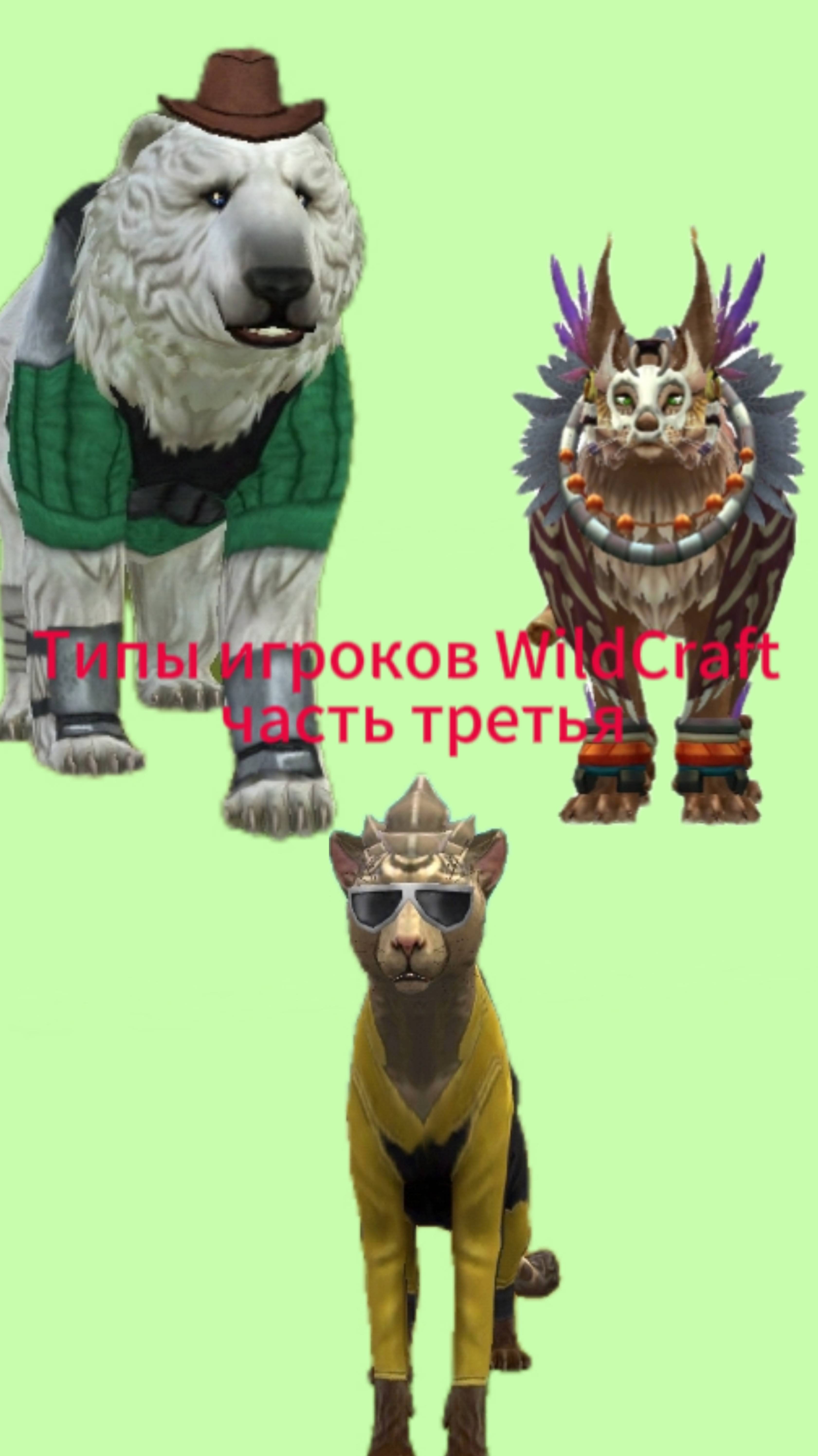 Типы игроков часть третья